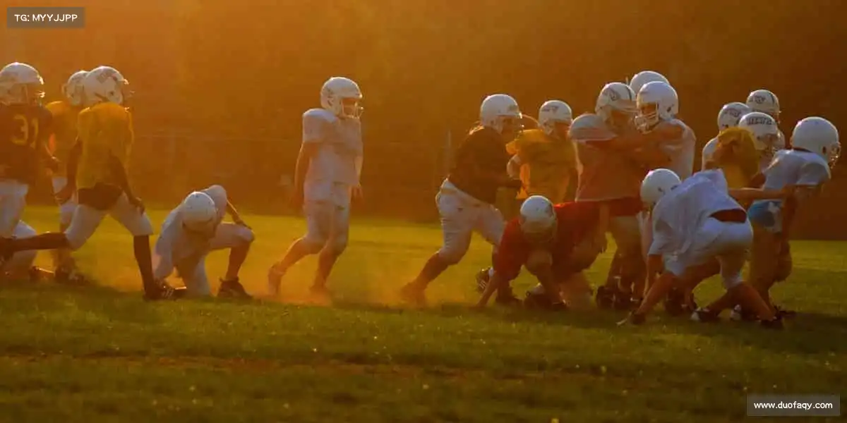 为什么选择我们